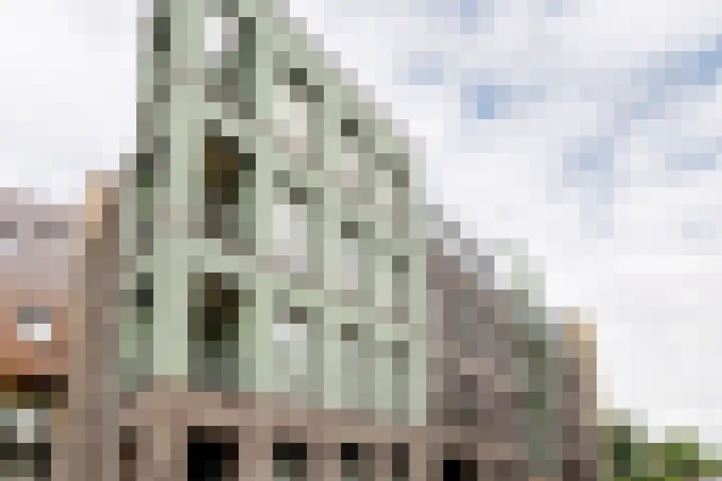 Tussenbuurt 85 Purmerend thumbnail 37