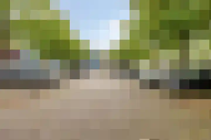 Tussendek 25 Amsterdam thumbnail 10