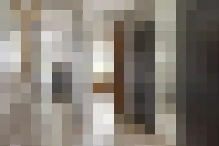 Tussendek 25 Amsterdam thumbnail 14