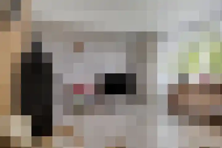 Tussendek 25 Amsterdam thumbnail 19