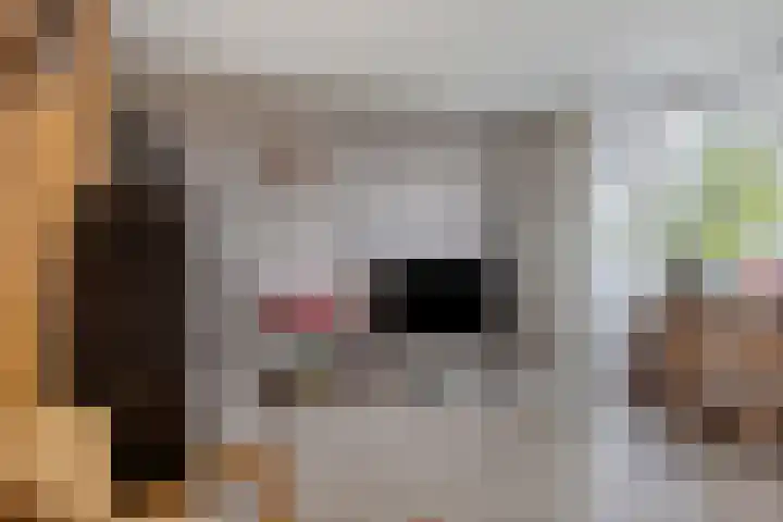 Tussendek 25 Amsterdam thumbnail 20