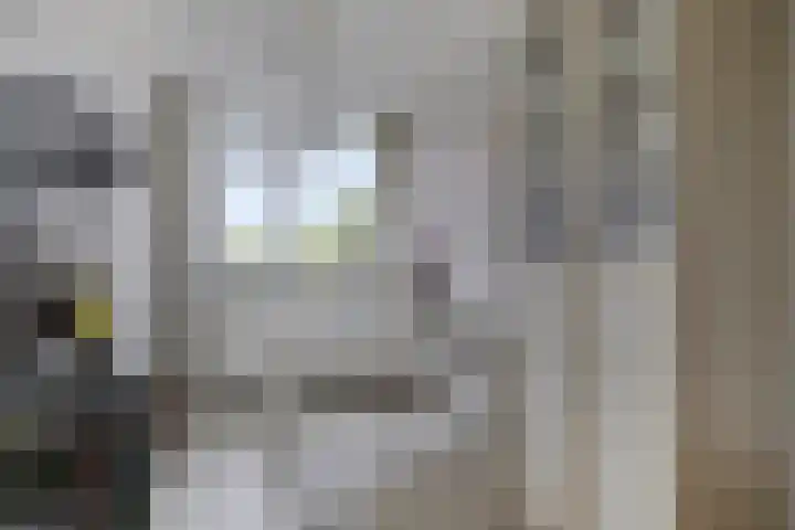 Tussendek 25 Amsterdam thumbnail 22