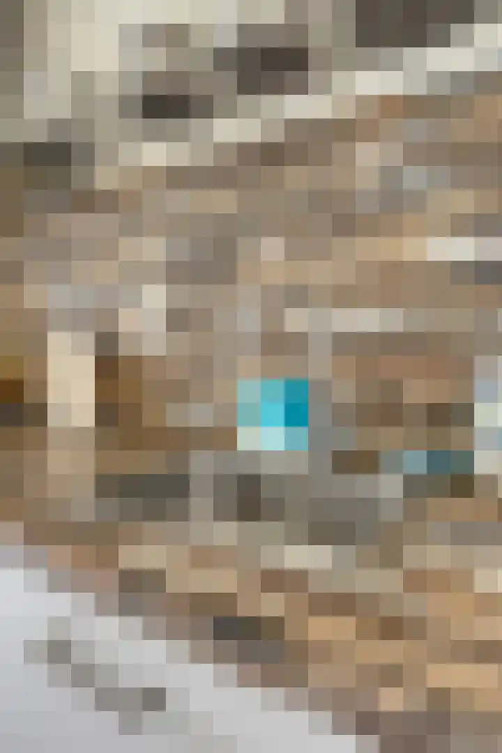 Tussendek 25 Amsterdam thumbnail 24