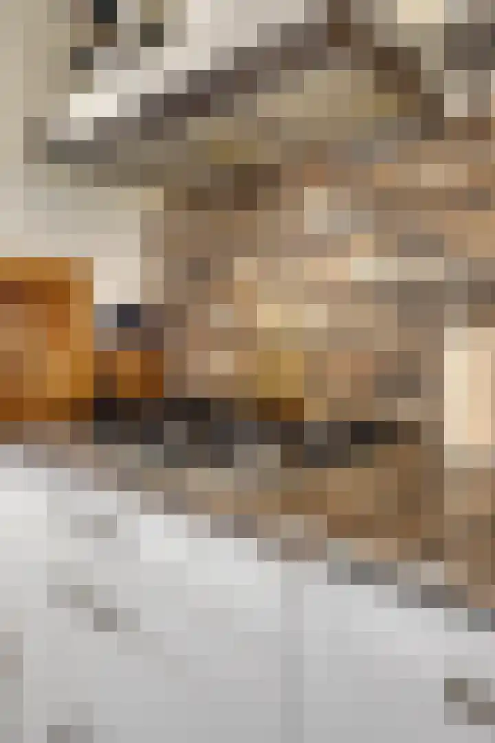 Tussendek 25 Amsterdam thumbnail 25