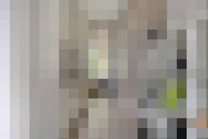 Tussendek 25 Amsterdam thumbnail 27