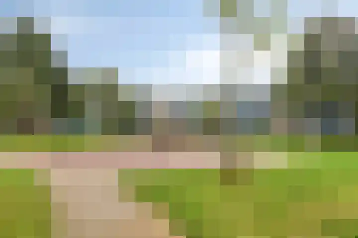 Tussendek 25 Amsterdam thumbnail 38