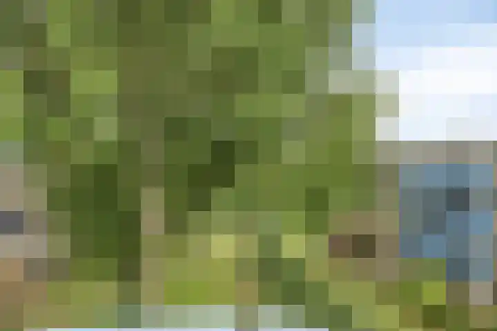 Tussendek 25 Amsterdam thumbnail 5