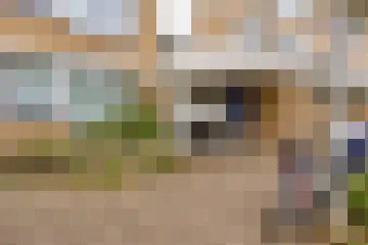 Tussendek 25 Amsterdam thumbnail 8