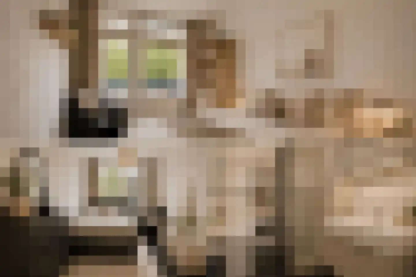 Tussendek 36 Amsterdam thumbnail 18