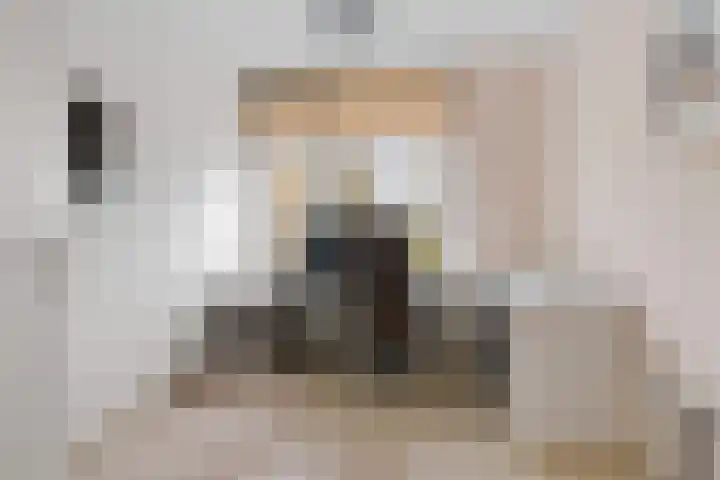 Tussendek 39 Amsterdam thumbnail 10