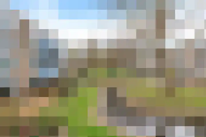 Tussendek 39 Amsterdam thumbnail 18