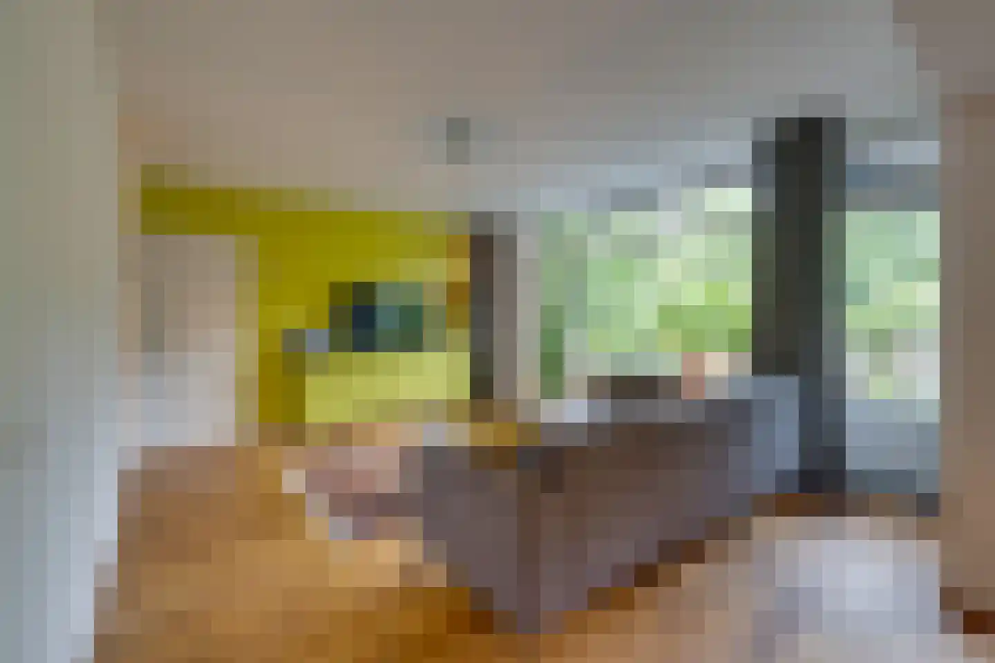 Tussendek 50 Amsterdam thumbnail 11
