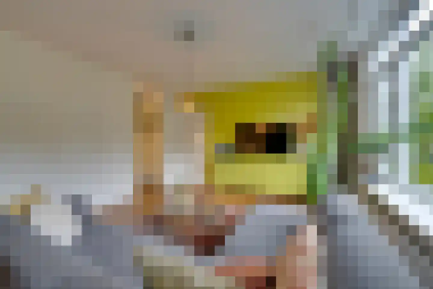 Tussendek 50 Amsterdam thumbnail 12