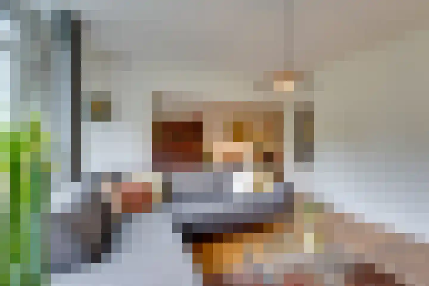 Tussendek 50 Amsterdam thumbnail 15