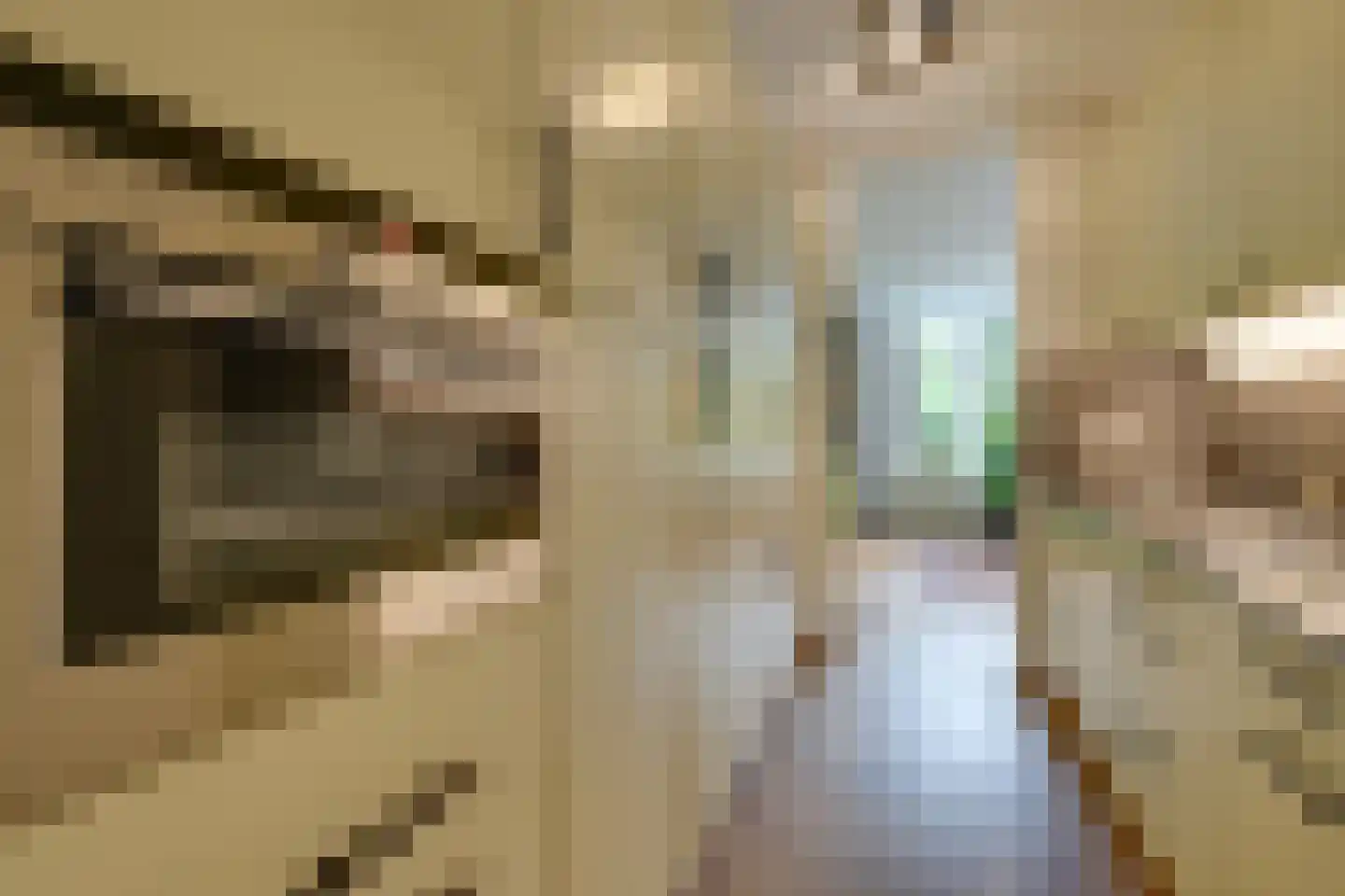 Tussendek 50 Amsterdam thumbnail 18