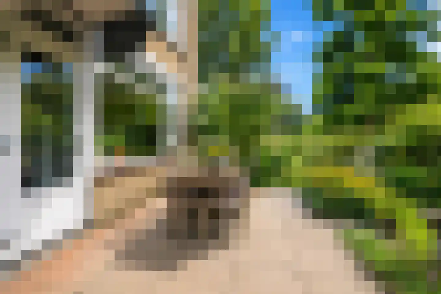 Tussendek 50 Amsterdam thumbnail 21