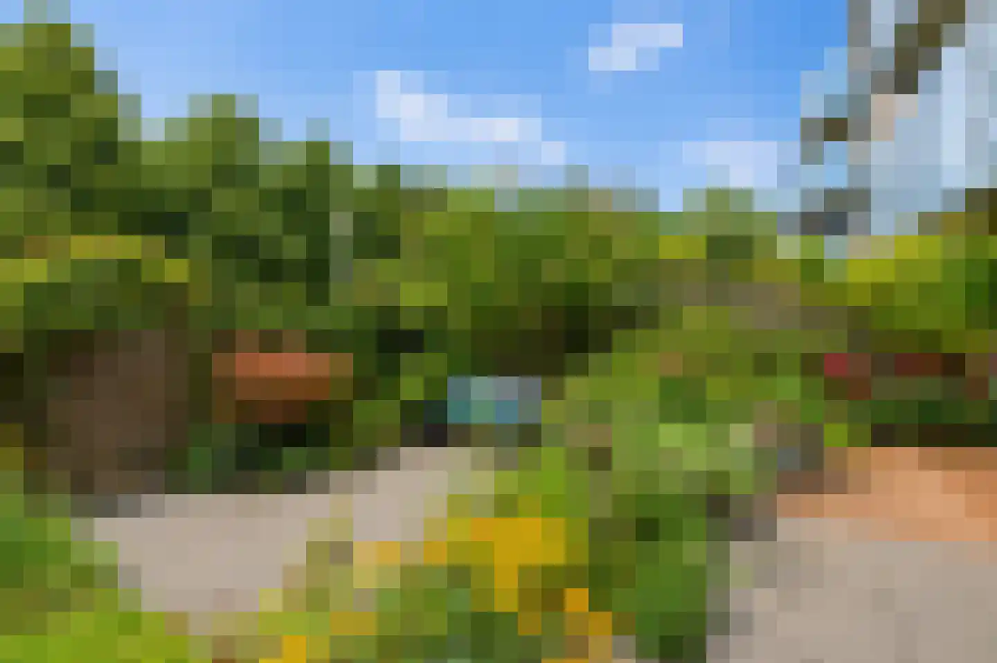 Tussendek 50 Amsterdam thumbnail 23