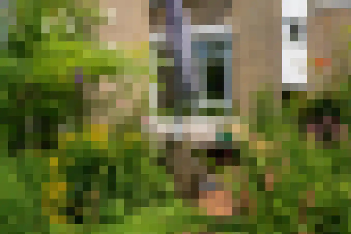 Tussendek 50 Amsterdam thumbnail 27