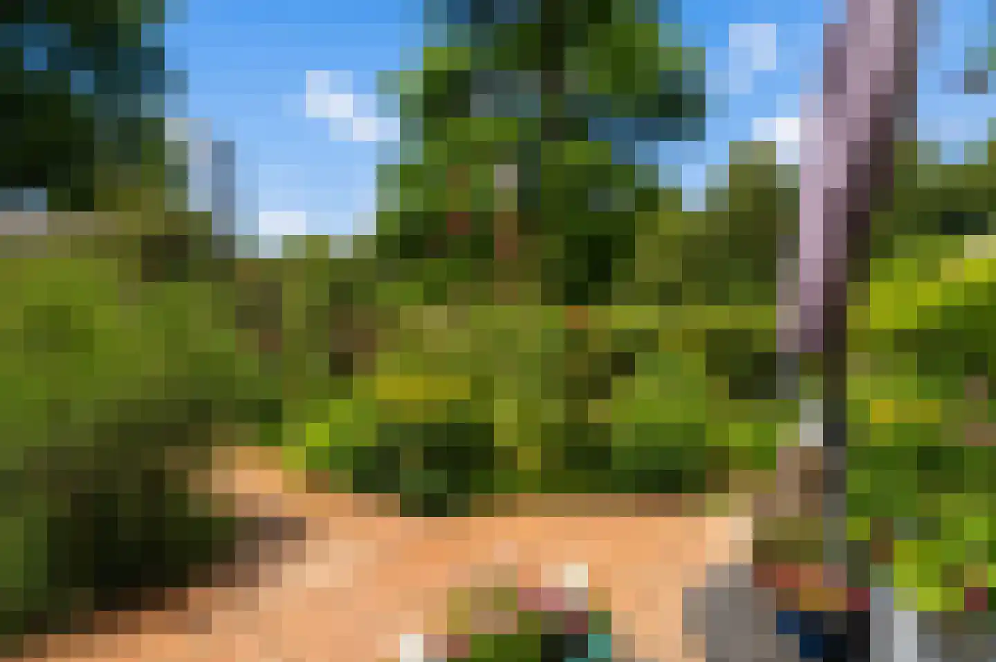 Tussendek 50 Amsterdam thumbnail 30
