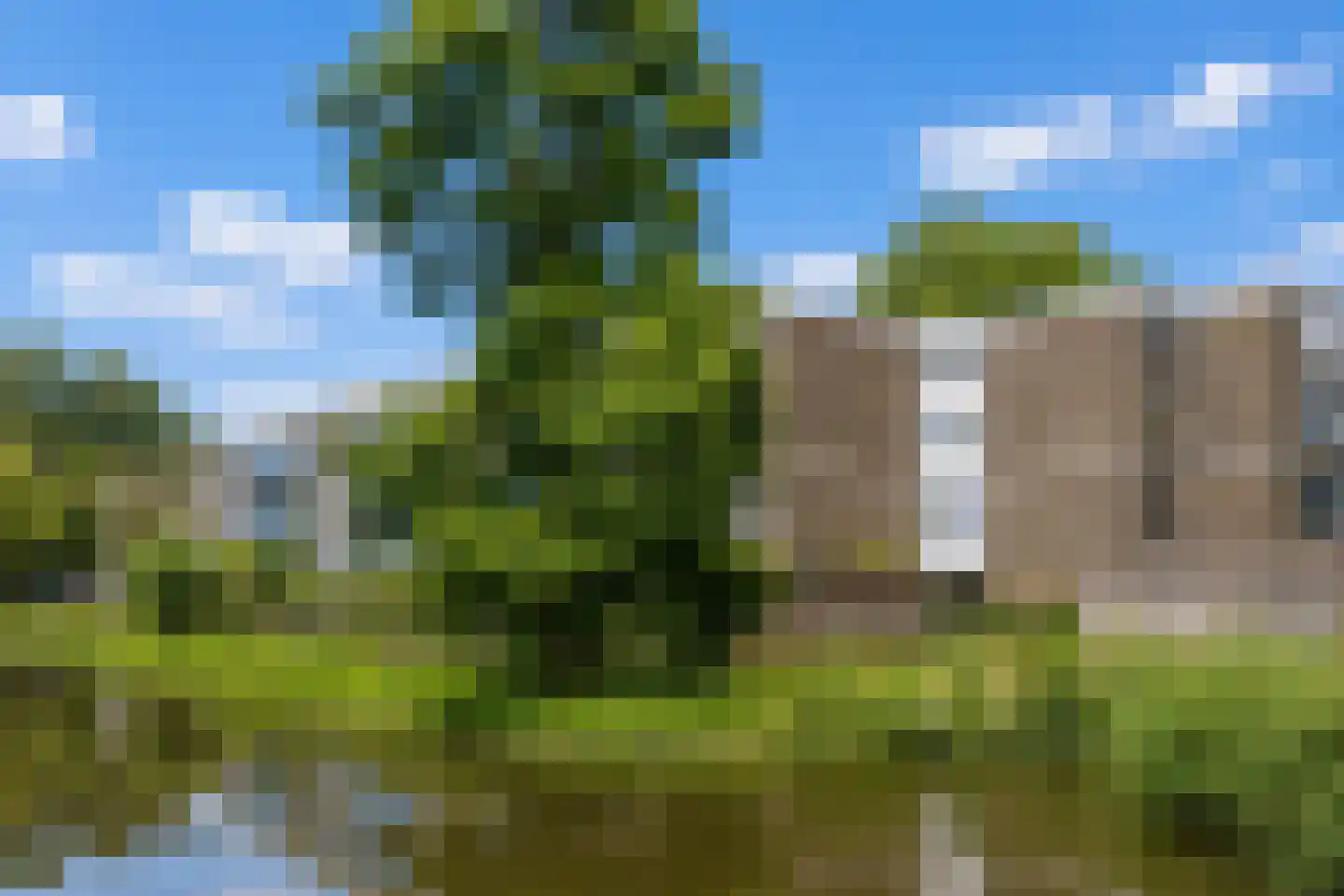 Tussendek 50 Amsterdam thumbnail 46