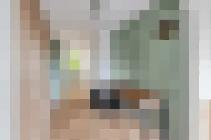 Tussendek 56 Amsterdam thumbnail 12
