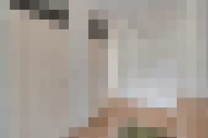 Tussendek 56 Amsterdam thumbnail 14