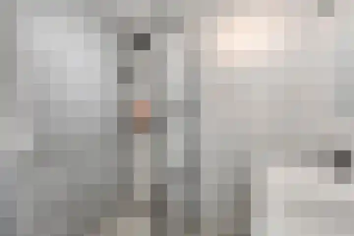Tussendek 56 Amsterdam thumbnail 15