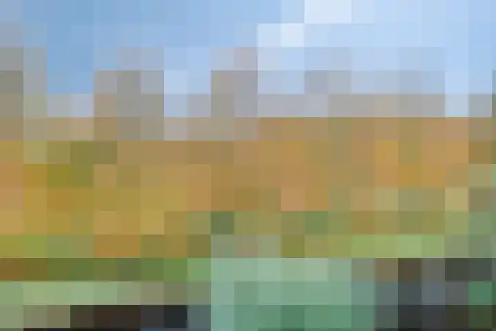 Tussendek 56 Amsterdam thumbnail 27