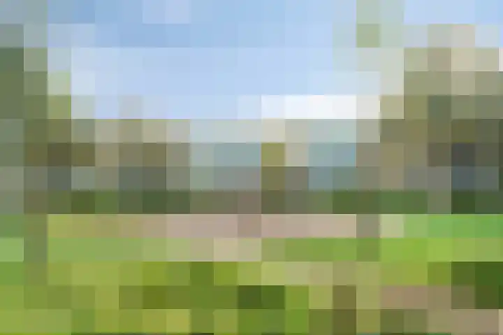 Tussendek 56 Amsterdam thumbnail 31