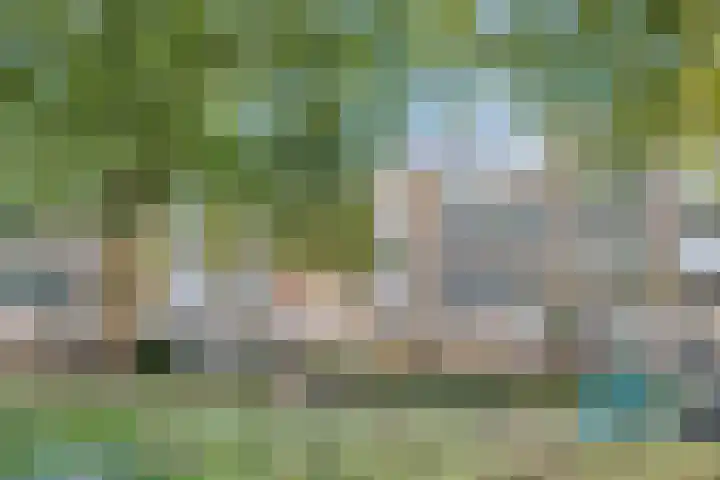 Tussendek 56 Amsterdam thumbnail 32
