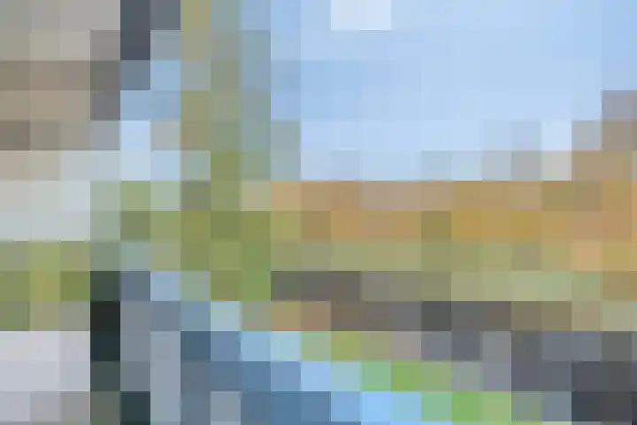 Tussendek 56 Amsterdam thumbnail 6