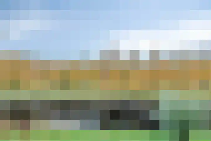 Tussendek 56 Amsterdam thumbnail 7