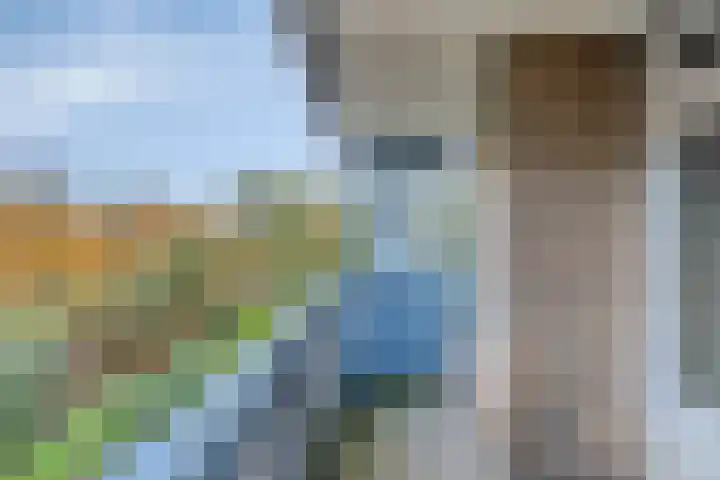 Tussendek 56 Amsterdam thumbnail 8