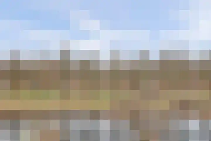 Tussendek 61 Amsterdam thumbnail 28
