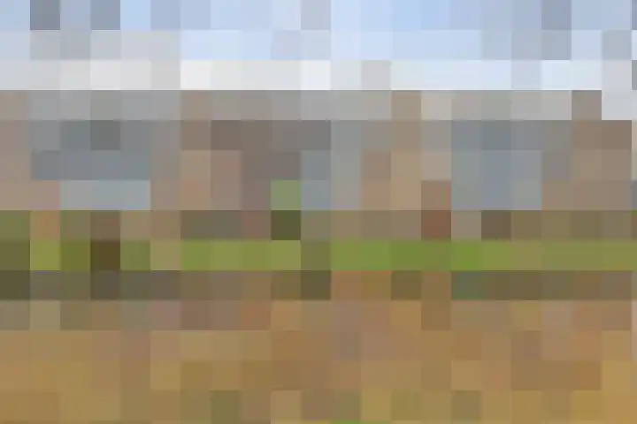 Tussendek 61 Amsterdam thumbnail 29