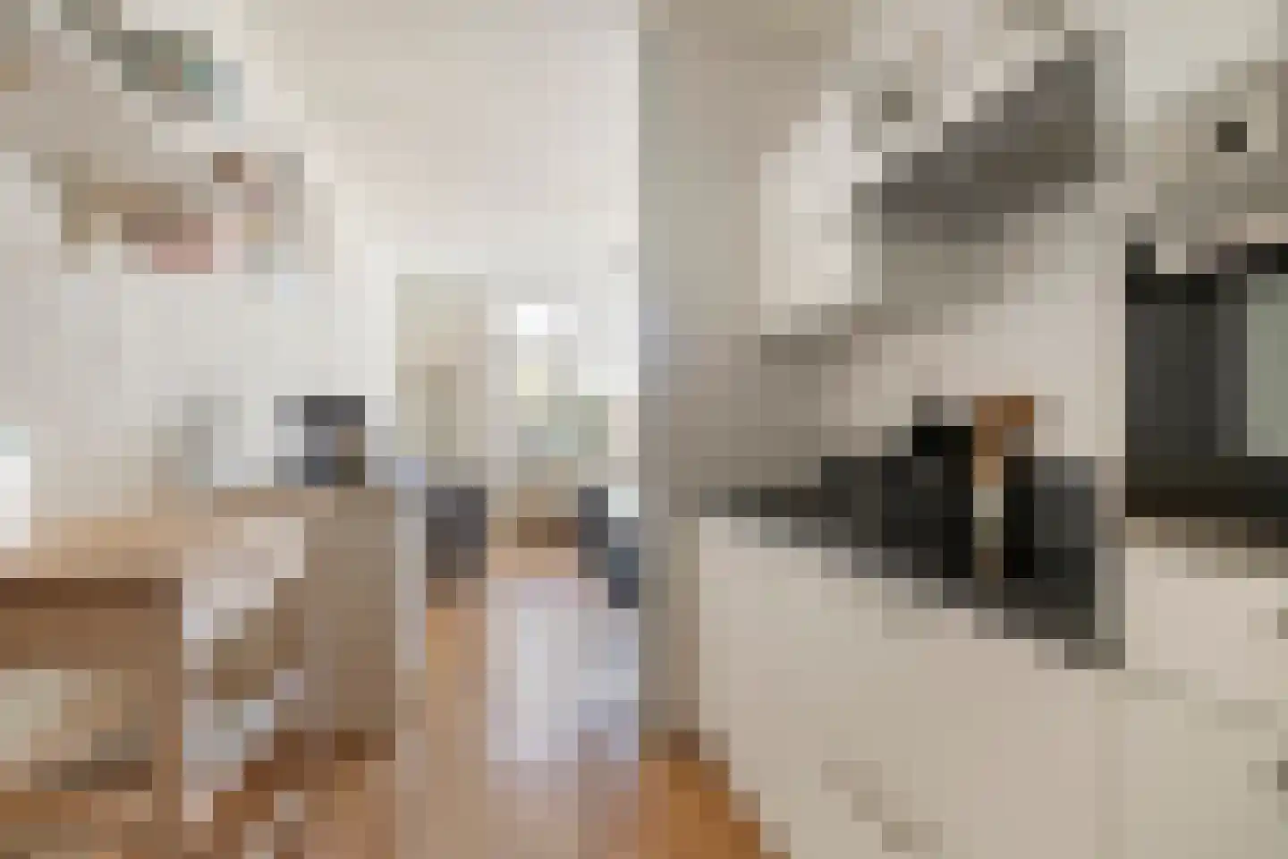 Tussendek 9 Amsterdam thumbnail 11