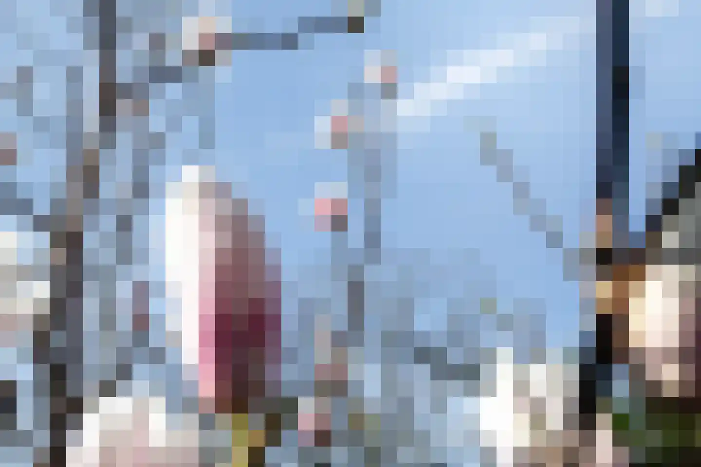 Tussendek 9 Amsterdam thumbnail 17