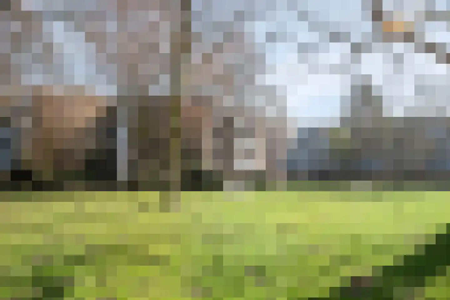 Tussendek 9 Amsterdam thumbnail 33