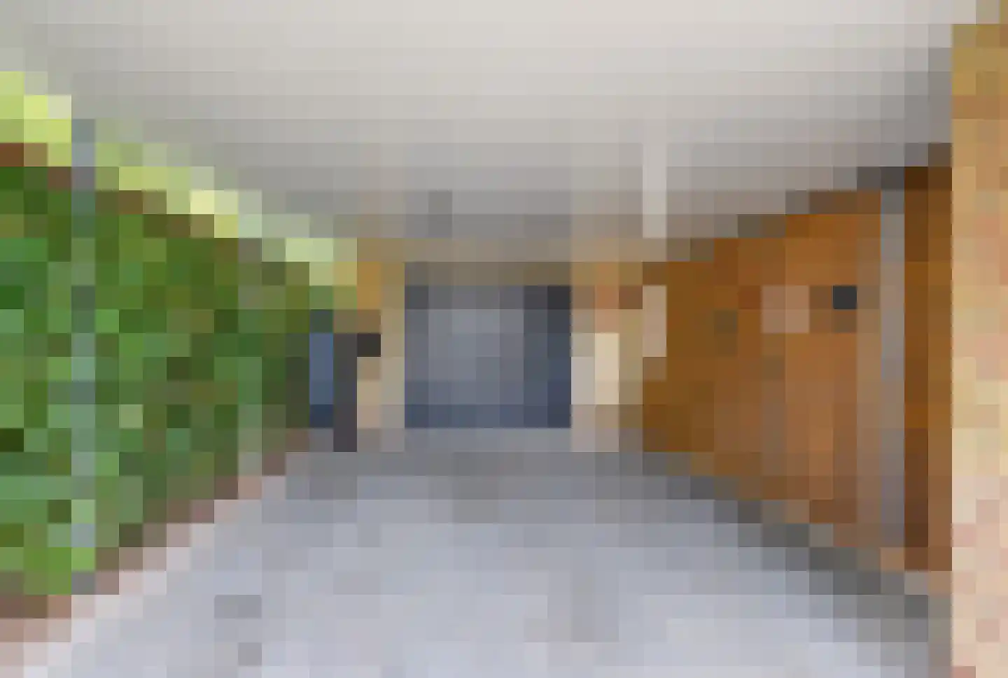 Tussendijken 18 Burgum thumbnail 10