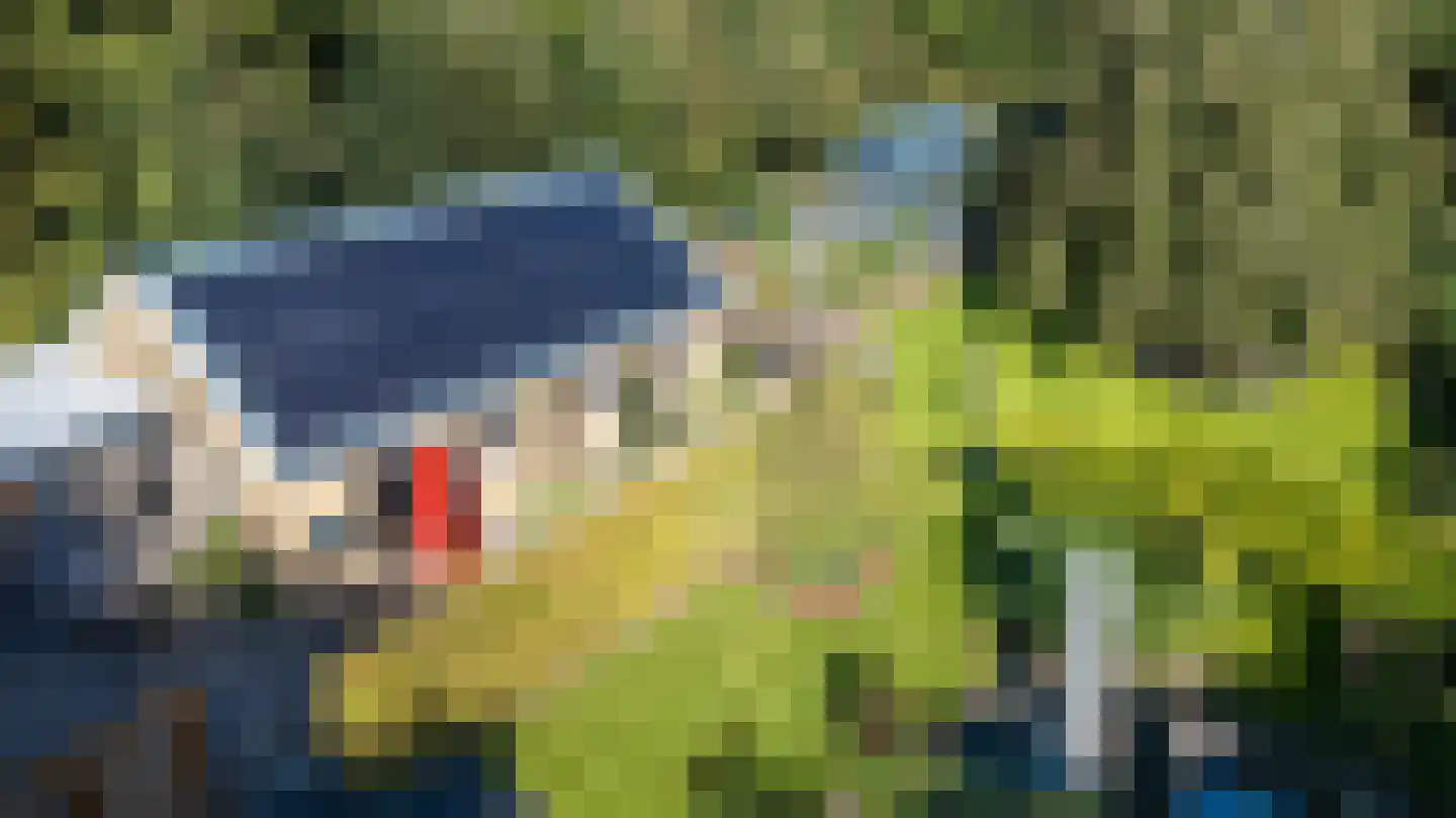 Tussendijken 18 Burgum thumbnail 15