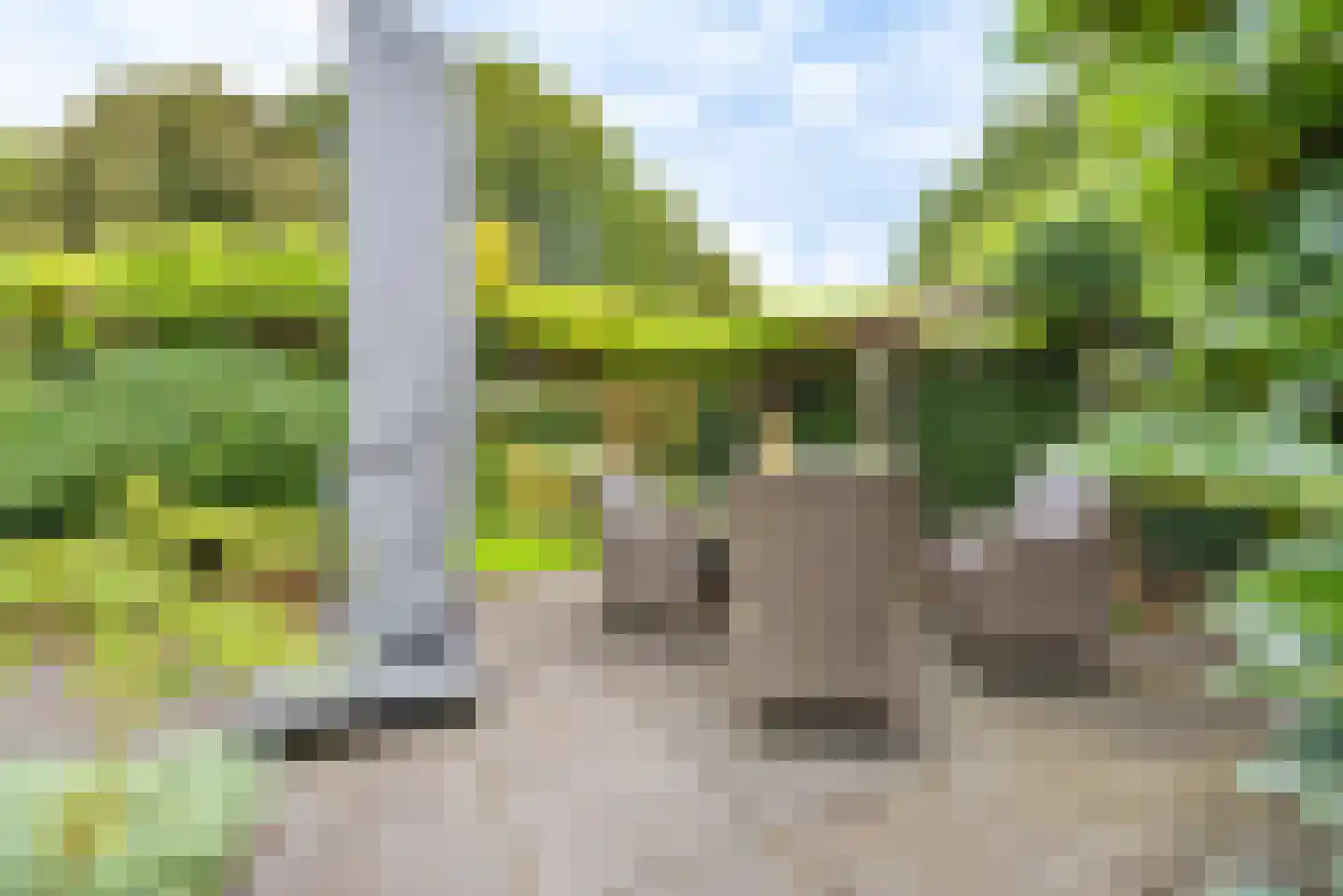 Tussendijken 18 Burgum thumbnail 19