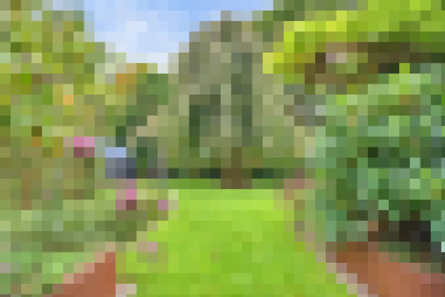 Tussendijken 18 Burgum thumbnail 20