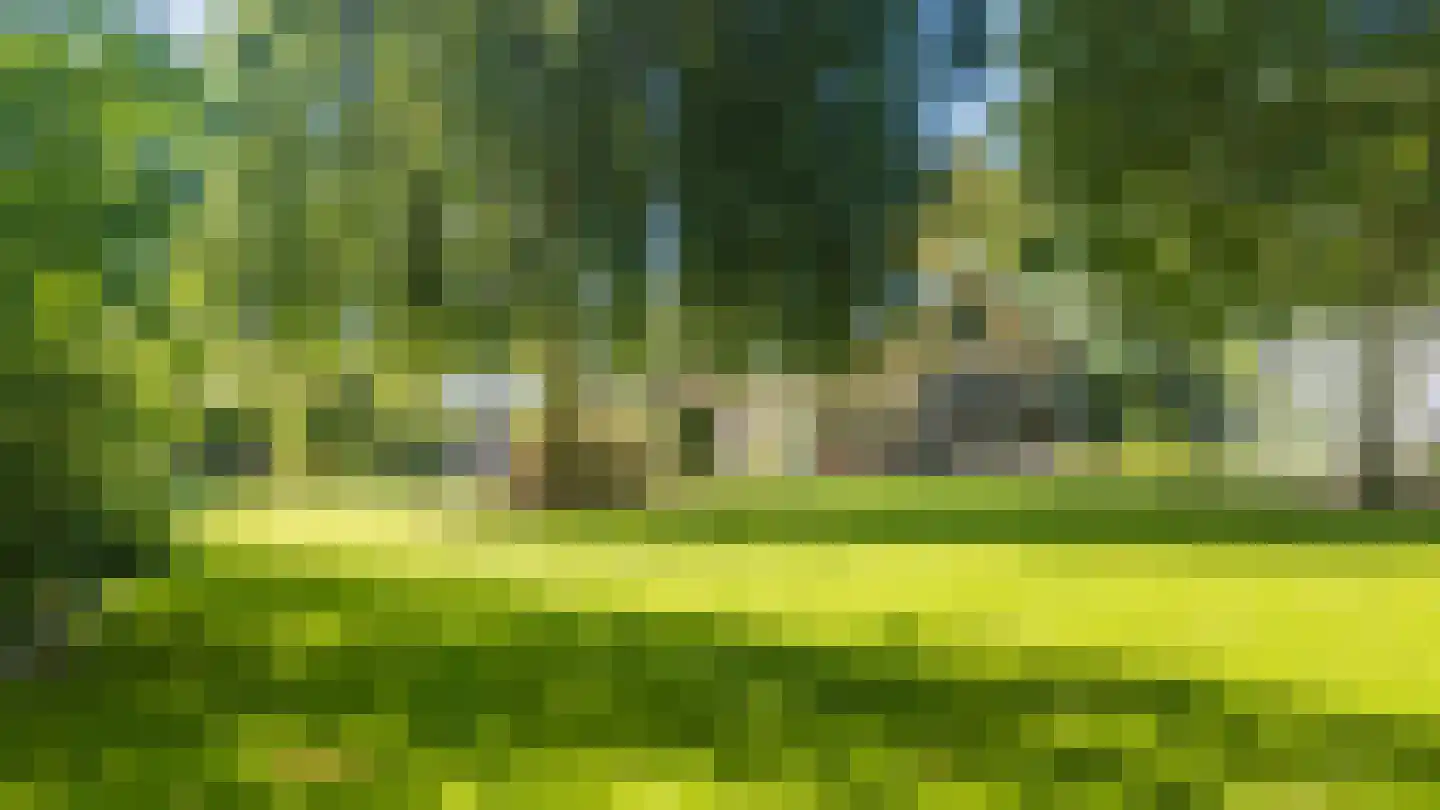 Tussendijken 18 Burgum thumbnail 23