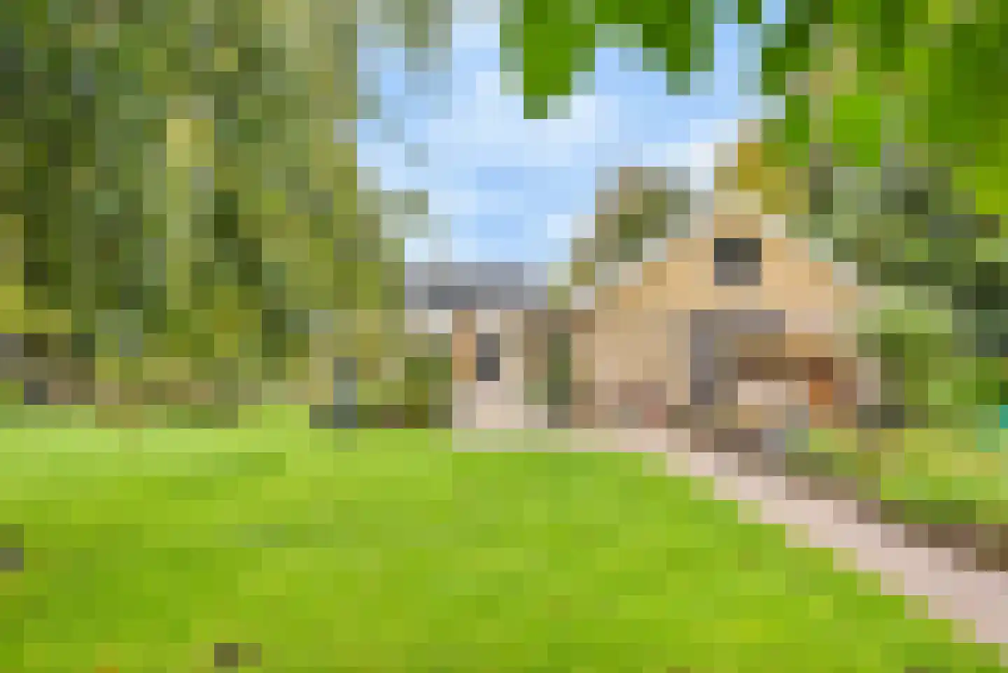 Tussendijken 18 Burgum thumbnail 25