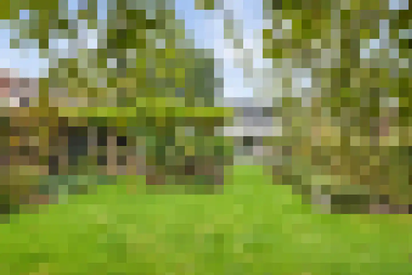 Tussendijken 18 Burgum thumbnail 26
