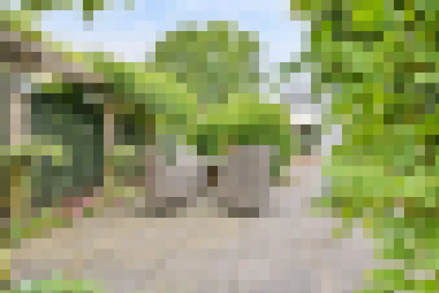 Tussendijken 18 Burgum thumbnail 27