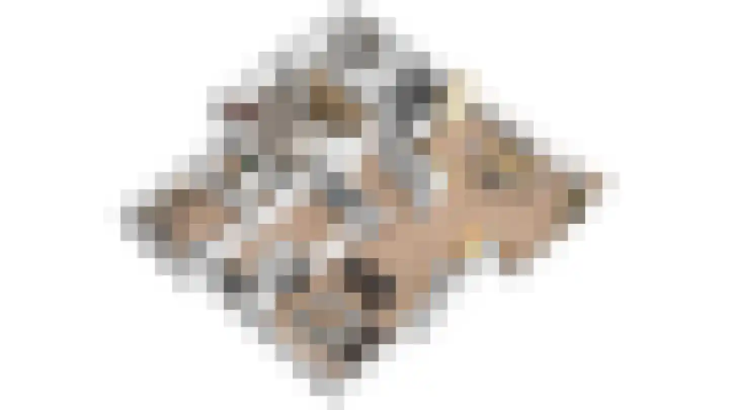 Tussendijken 18 Burgum thumbnail 34