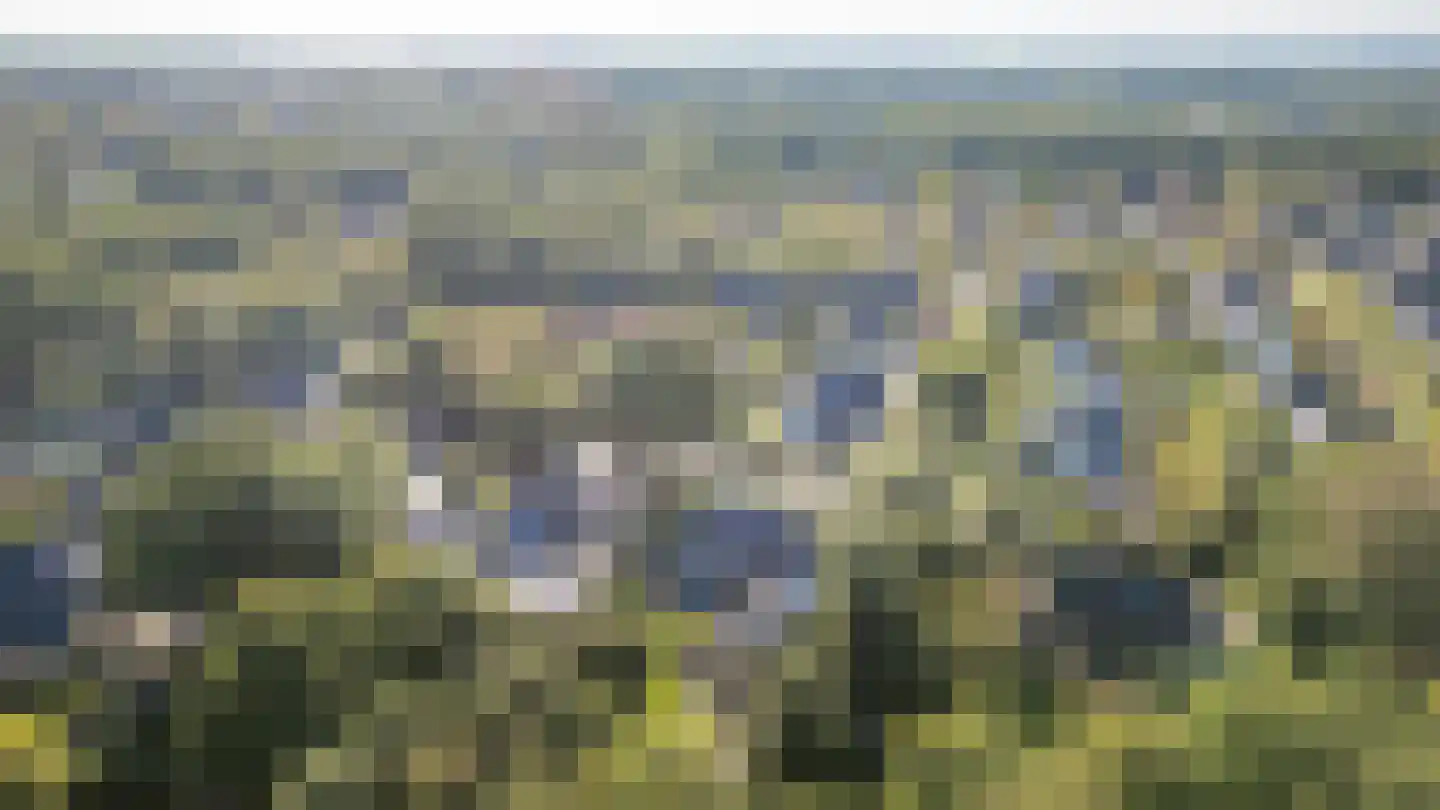 Tussendijken 18 Burgum thumbnail 5