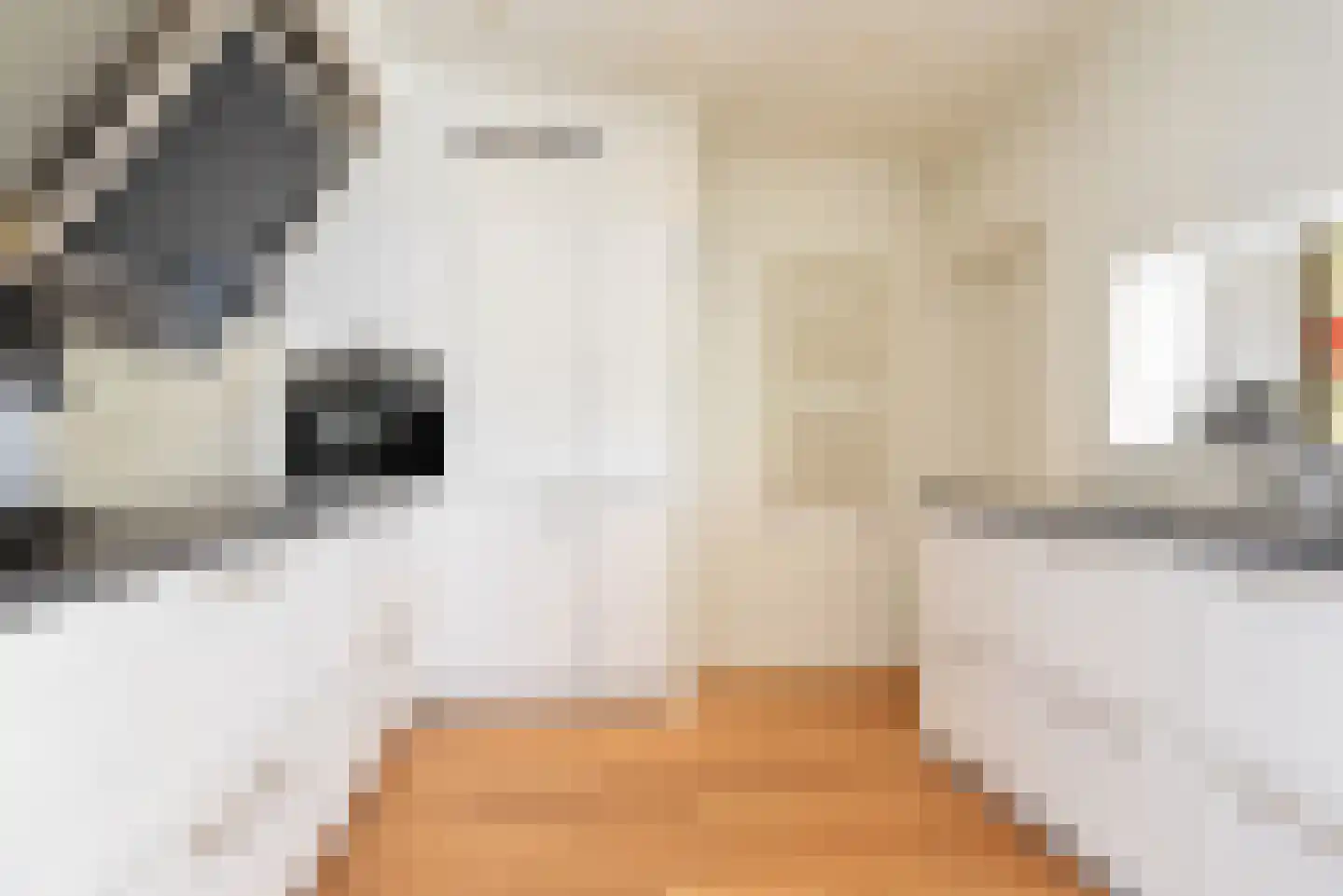 Tussendijken 18 Burgum thumbnail 54