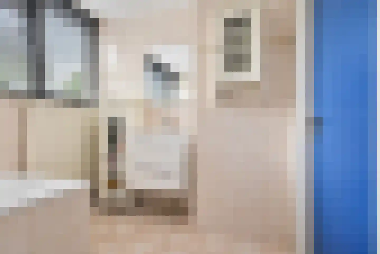 Tussendijken 18 Burgum thumbnail 79